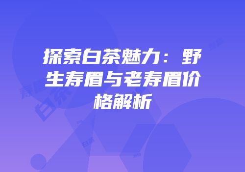 探索白茶魅力：野生寿眉与老寿眉价格解析