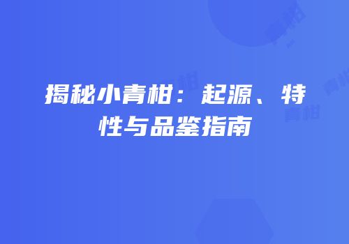 揭秘小青柑：起源、特性与品鉴指南