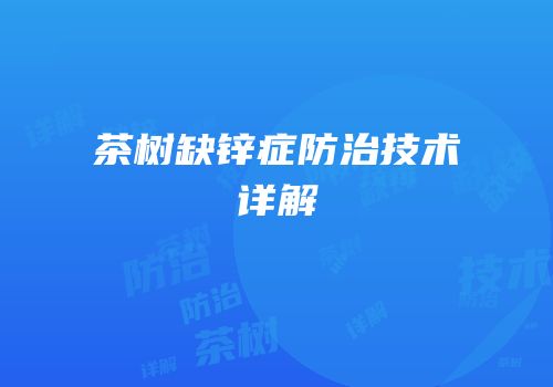 茶树缺锌症防治技术详解