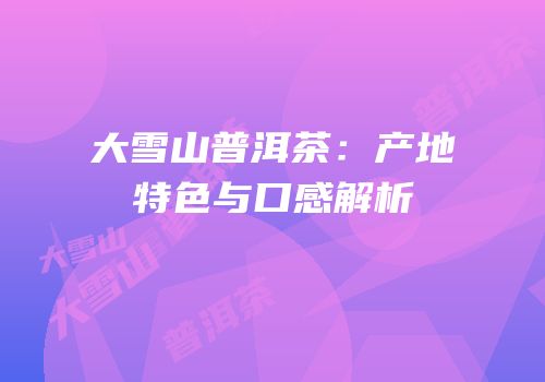 大雪山普洱茶：产地特色与口感解析