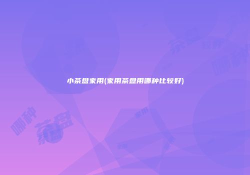 小茶盘家用(家用茶盘用哪种比较好)