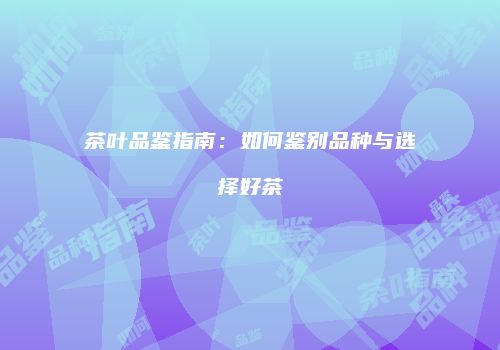茶叶品鉴指南：如何鉴别品种与选择好茶