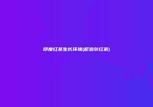 印度红茶生长环境(尼泊尔红茶)