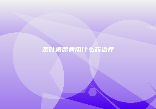 茶叶根腐病用什么药治疗
