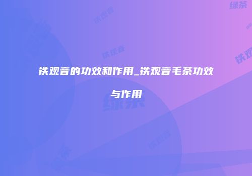 铁观音的功效和作用_铁观音毛茶功效与作用