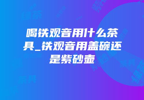 喝铁观音用什么茶具_铁观音用盖碗还是紫砂壶