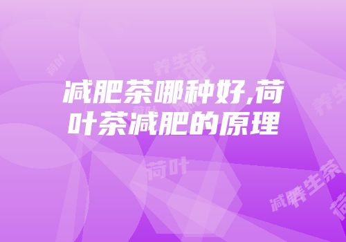 减肥茶哪种好,荷叶茶减肥的原理