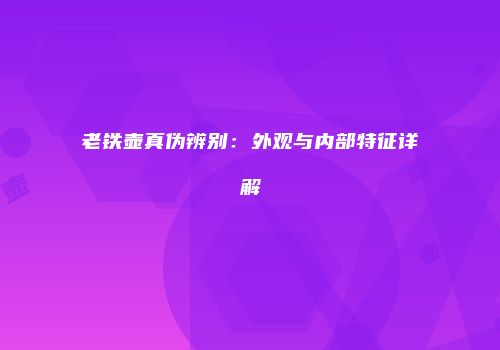 老铁壶真伪辨别：外观与内部特征详解