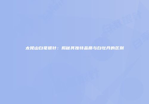 太姥山白毫银针：揭秘其独特品质与白牡丹的区别