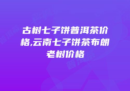 古树七子饼普洱茶价格,云南七子饼茶布朗老树价格