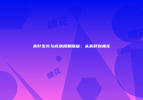 茶叶生长与成熟周期探秘：从茶籽到槐花