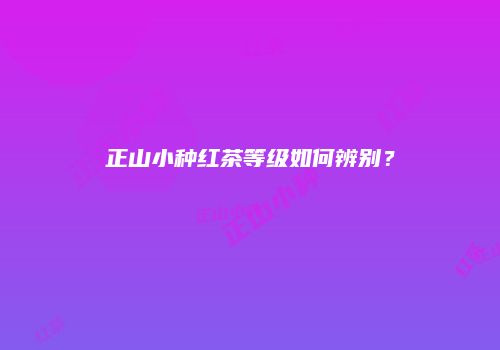 正山小种红茶等级如何辨别？