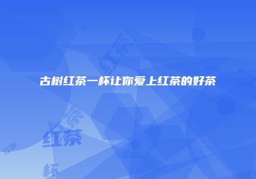 古树红茶一杯让你爱上红茶的好茶