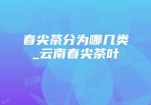 春尖茶分为哪几类_云南春尖茶叶