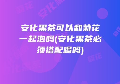 安化黑茶可以和菊花一起泡吗(安化黑茶必须搭配喝吗)