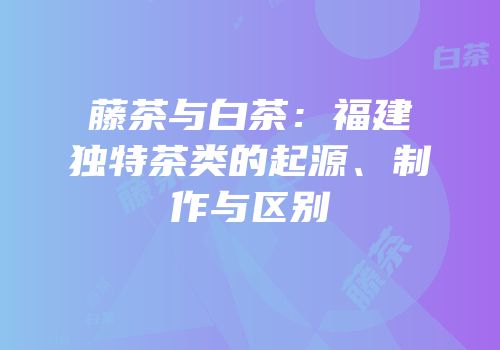 藤茶与白茶：福建独特茶类的起源、制作与区别