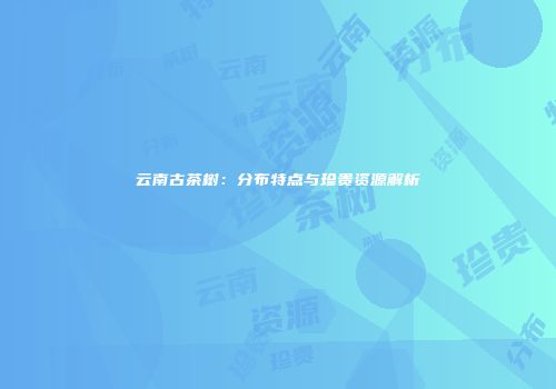 云南古茶树：分布特点与珍贵资源解析