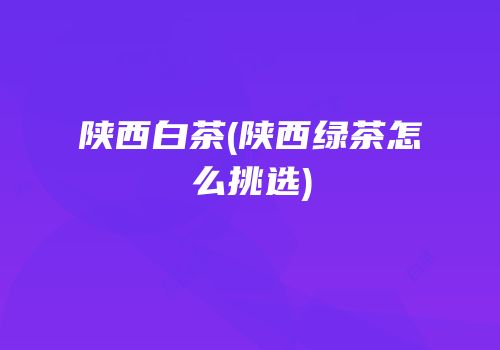 陕西白茶(陕西绿茶怎么挑选)