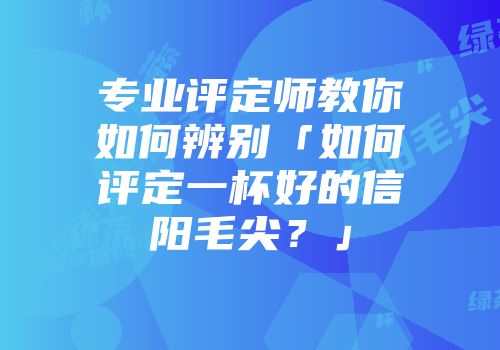 专业评定师教你如何辨别「如何评定一杯好的信阳毛尖？」