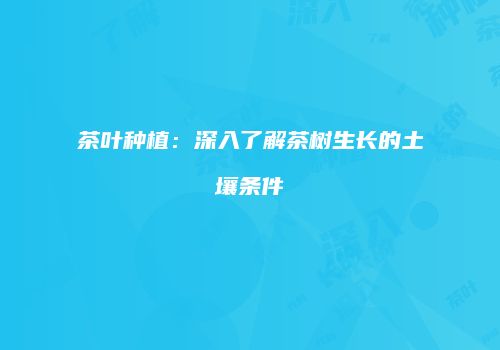 茶叶种植：深入了解茶树生长的土壤条件