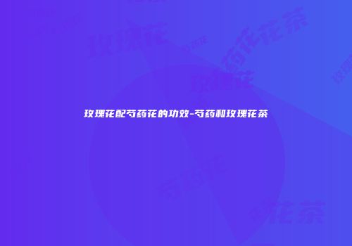 玫瑰花配芍药花的功效-芍药和玫瑰花茶