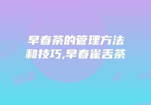 早春茶的管理方法和技巧,早春雀舌茶