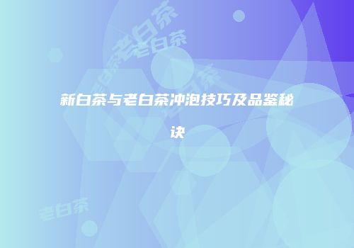 新白茶与老白茶冲泡技巧及品鉴秘诀