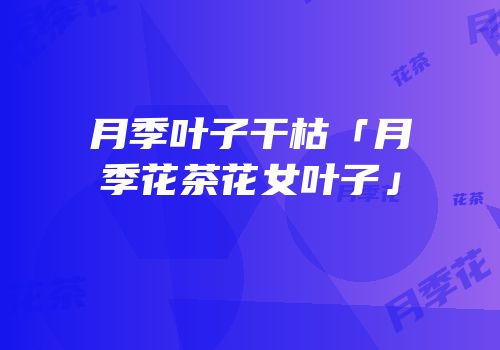 月季叶子干枯「月季花茶花女叶子」