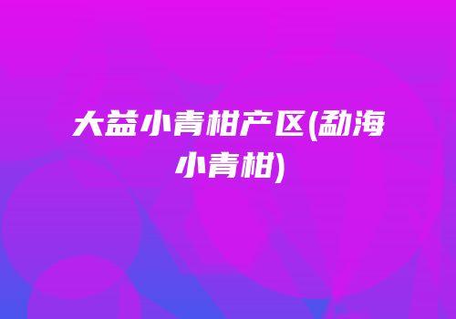 大益小青柑产区(勐海小青柑)