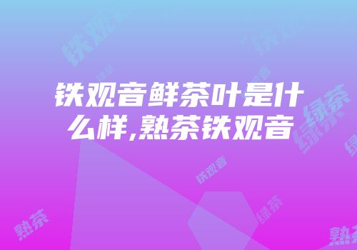 铁观音鲜茶叶是什么样,熟茶铁观音