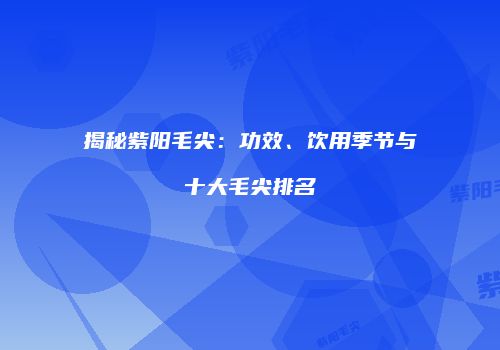 揭秘紫阳毛尖：功效、饮用季节与十大毛尖排名
