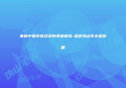 来自中国传统名茶的美味体验-品尝沩山毛尖金骏眉