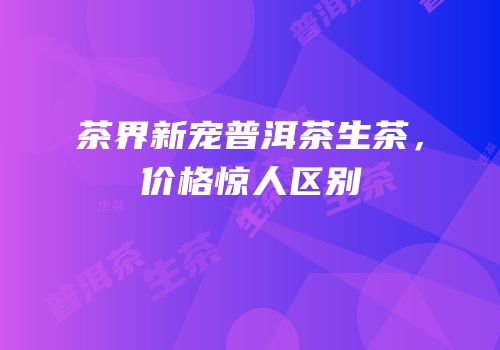 茶界新宠普洱茶生茶，价格惊人区别