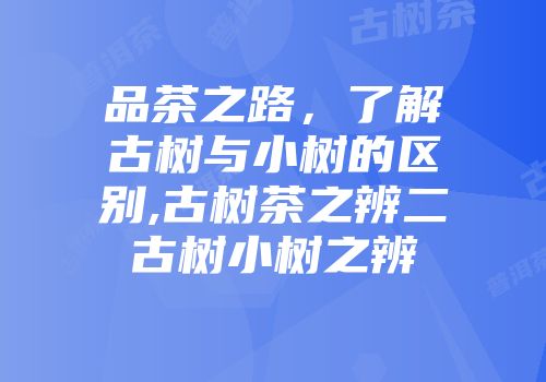 品茶之路，了解古树与小树的区别,古树茶之辨二古树小树之辨