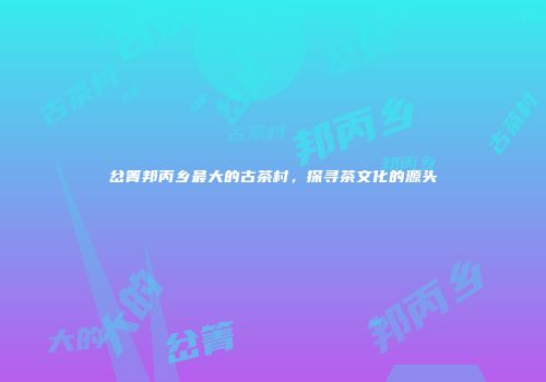 岔箐邦丙乡最大的古茶村，探寻茶文化的源头