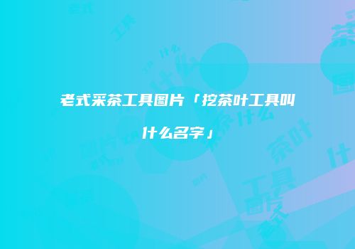 老式采茶工具图片「挖茶叶工具叫什么名字」