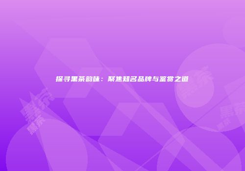 探寻黑茶韵味：聚焦知名品牌与鉴赏之道