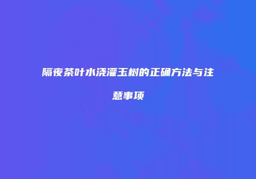 隔夜茶叶水浇灌玉树的正确方法与注意事项