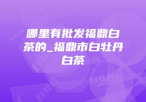 哪里有批发福鼎白茶的_福鼎市白牡丹白茶