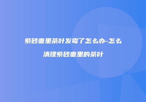 紫砂壶里茶叶发霉了怎么办-怎么清理紫砂壶里的茶叶
