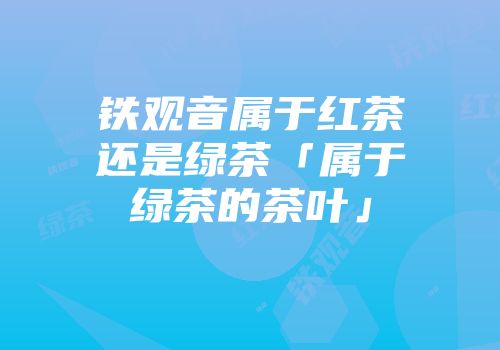 铁观音属于红茶还是绿茶「属于绿茶的茶叶」