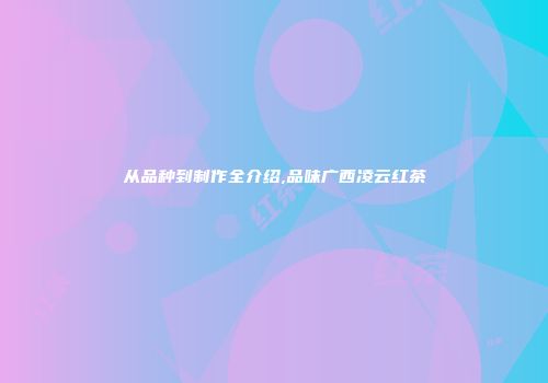 从品种到制作全介绍,品味广西凌云红茶