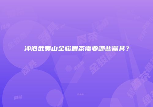冲泡武夷山金骏眉茶需要哪些器具？