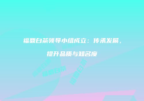 福鼎白茶领导小组成立：传承发展，提升品质与知名度