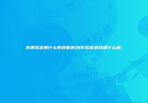 武夷岩茶用什么紫砂壶泡(制作岩茶适合用什么壶)