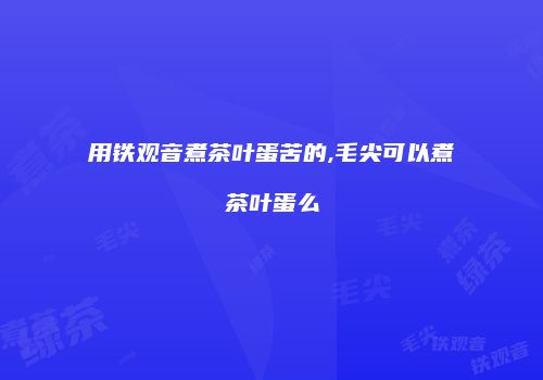 用铁观音煮茶叶蛋苦的,毛尖可以煮茶叶蛋么