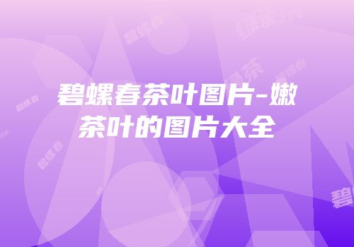 碧螺春茶叶图片-嫩茶叶的图片大全
