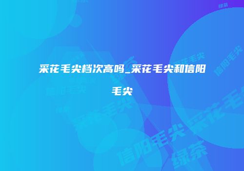 采花毛尖档次高吗_采花毛尖和信阳毛尖