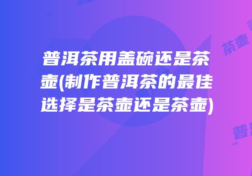普洱茶用盖碗还是茶壶(制作普洱茶的最佳选择是茶壶还是茶壶)