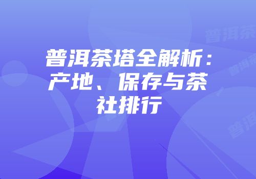 普洱茶塔全解析：产地、保存与茶社排行